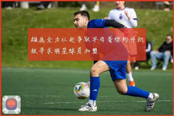 雄鹿全力以赴争取字母哥续约并积极寻求明星球员加盟