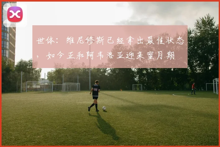 世体：维尼修斯已经拿出最佳状态，如今正和阿韦洛亚迎来蜜月期