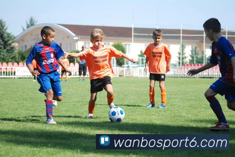 万博体育平台生态图