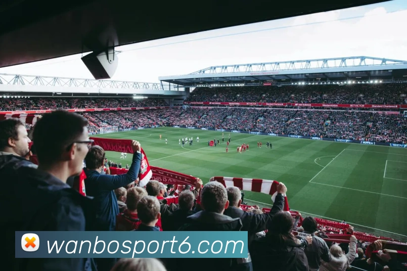 万博体育APP 封面图